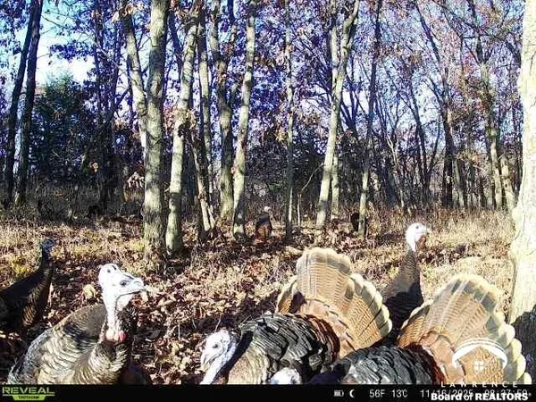 $2,690,000 | 374 North 750 Road, Overbrook, KS 66524