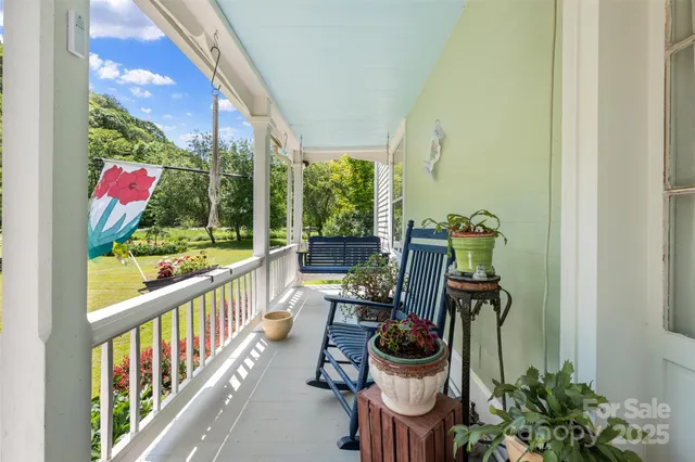 a room with furniture and a potted plant