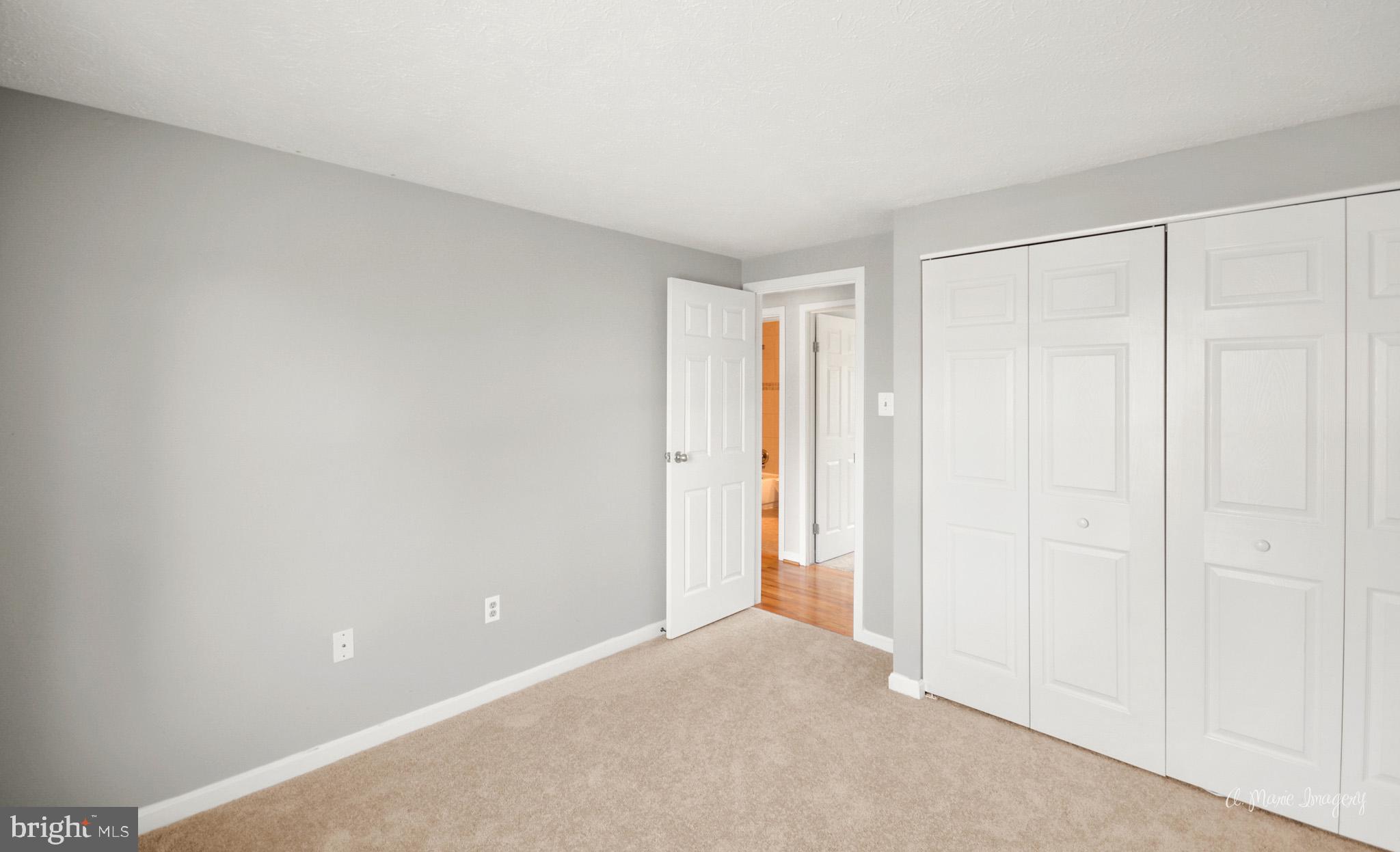 4301 Zircon Road Middletown, MD 21769 - Photo 23 of 41