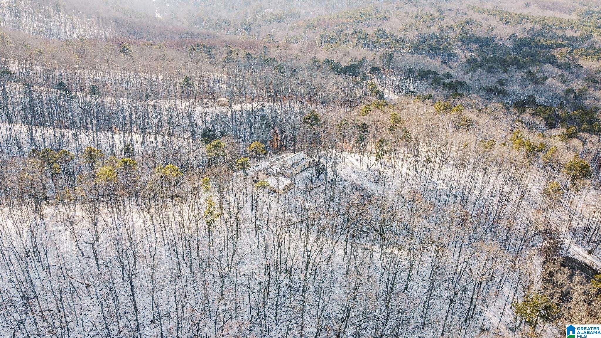 5325 Union T Road Talladega, AL 35160 - Photo 4 of 83