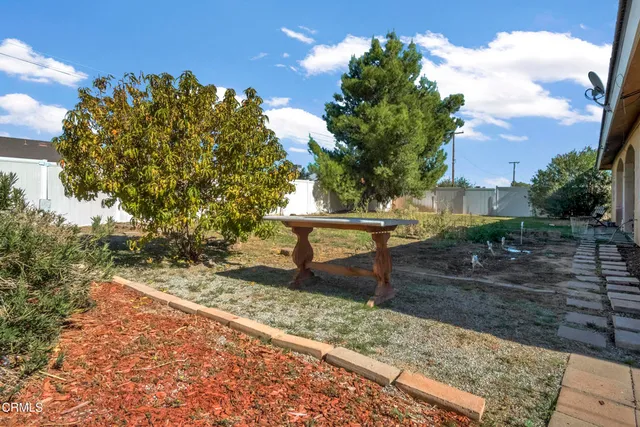 a view of a yard with plants and trees