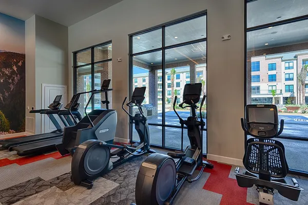 $1,175 | 15915 Kingfield Drive, Unit 1124, Houston, TX 77084