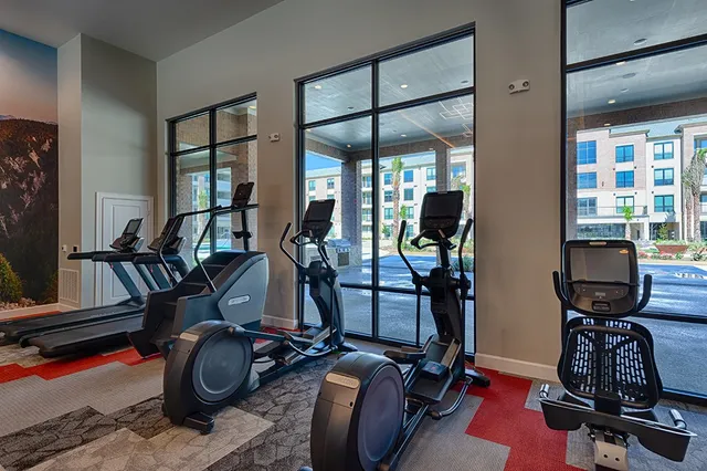 $1,255 | 15915 Kingfield Drive, Unit 1424, Houston, TX 77084