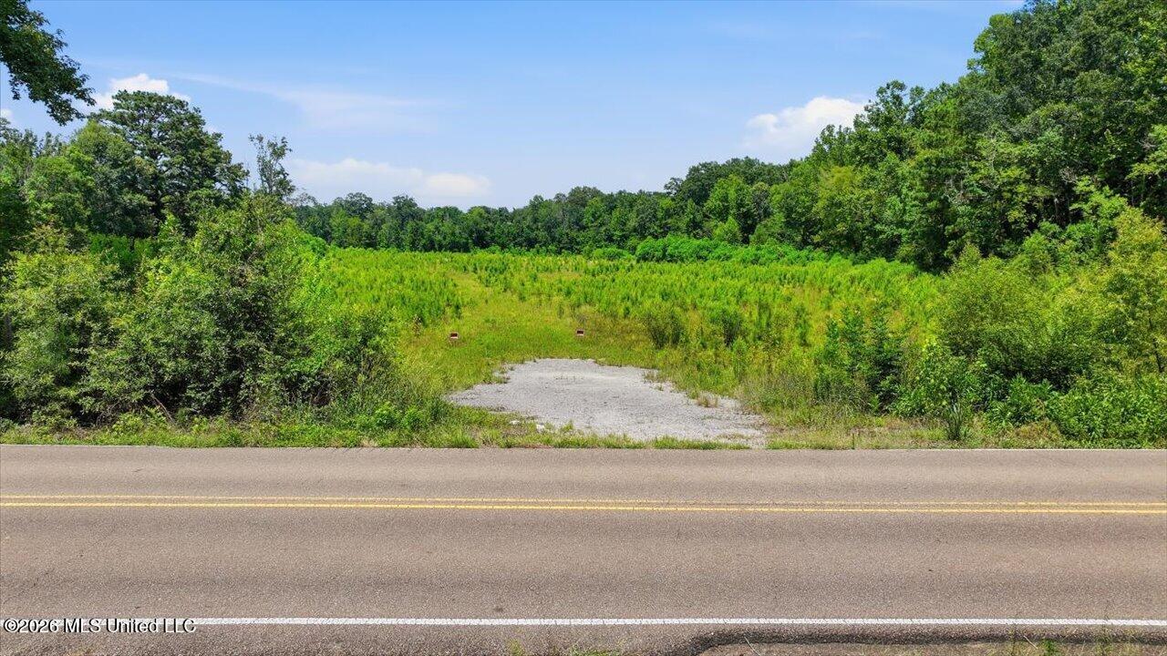 Luckney Road Brandon, MS 39042 - Photo 36 of 43 37-0 Luckney Rd _ Hometoursms.com