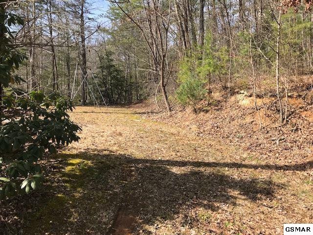 10 Reed Ridge Road Gatlinburg, TN 37738 - Photo 1 of 8