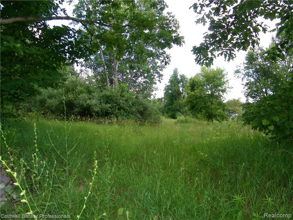 2 Martus Road North Branch, MI 48461 - Photo 1 of 8