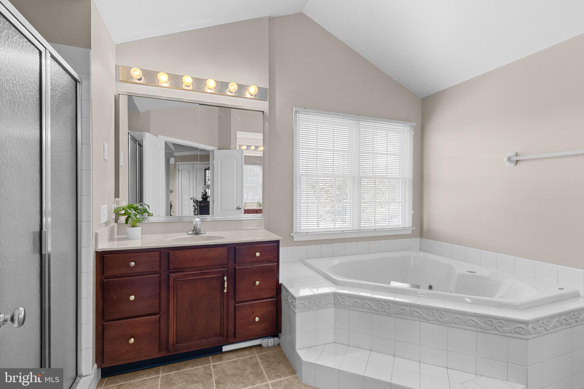 907 Mather Drive Bear, DE 19701 - Photo 63 of 80 a bathroom with a tub a double vanity sink and a large mirror