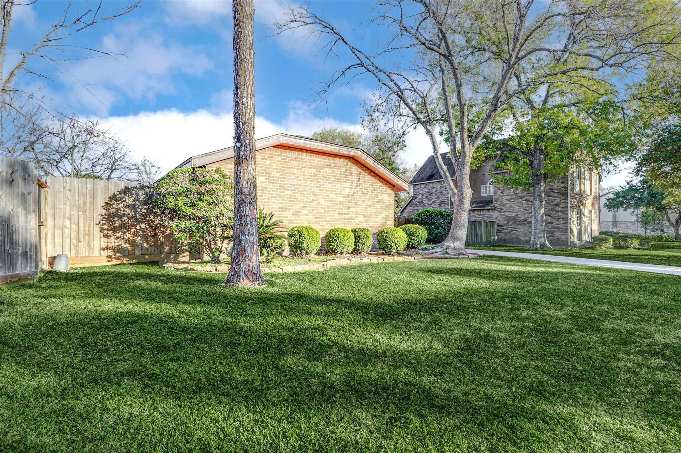 2223 Foreland Drive Houston, TX 77077 - Photo 3 of 39 a view of a yard with a tree