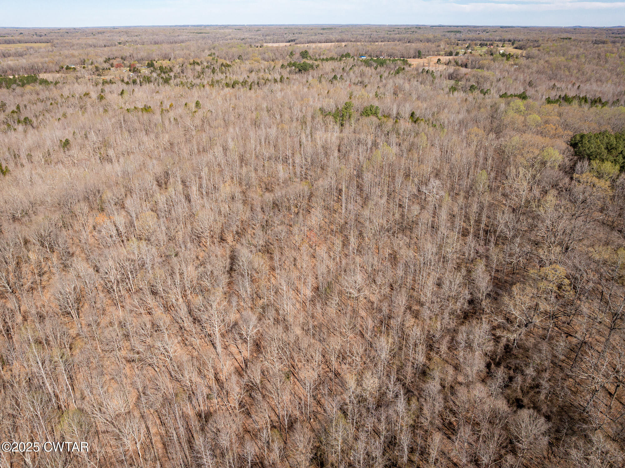 4489 Spring Creek Road Lavinia, TN 38348 - Photo 13 of 17 a view of a dry field