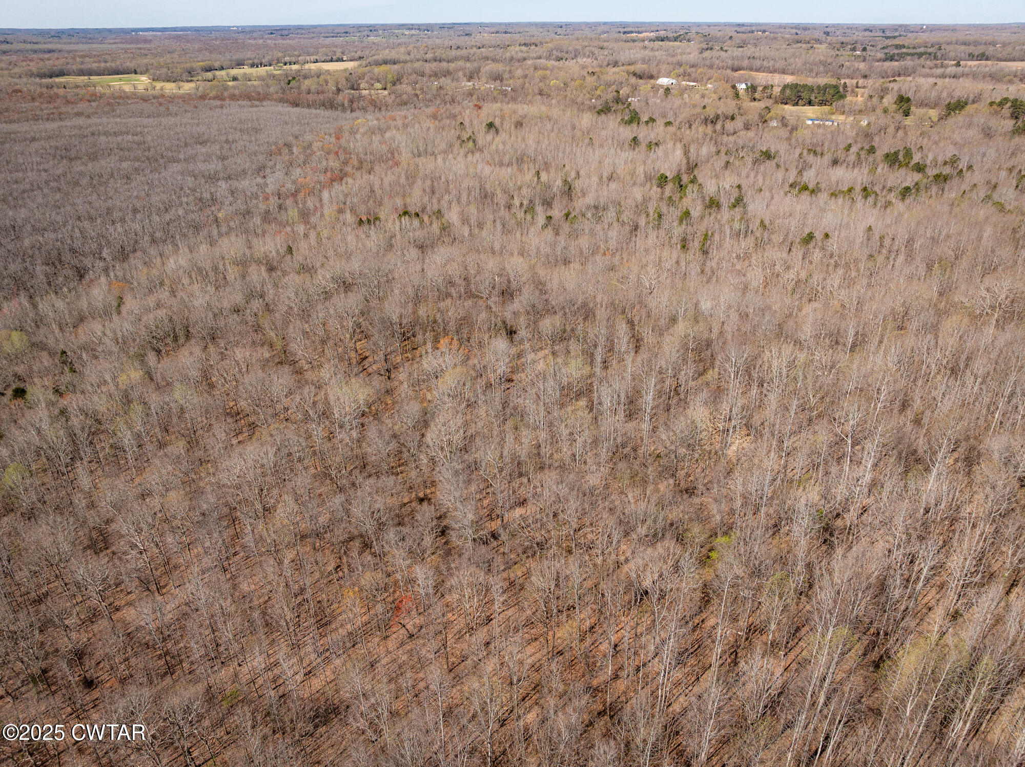 4489 Spring Creek Road Lavinia, TN 38348 - Photo 14 of 17 a view of city and mountain
