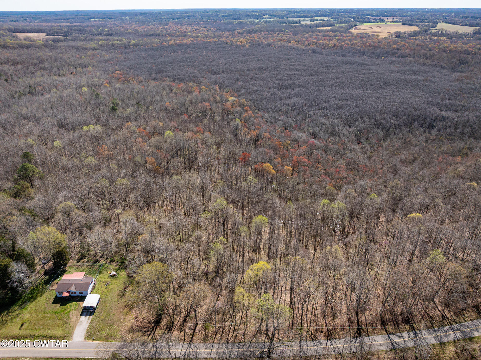 4489 Spring Creek Road Lavinia, TN 38348 - Photo 16 of 17 a view of an outdoor space