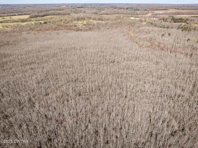 $421,000 | 4489 Spring Creek Road, Lavinia, TN 38348