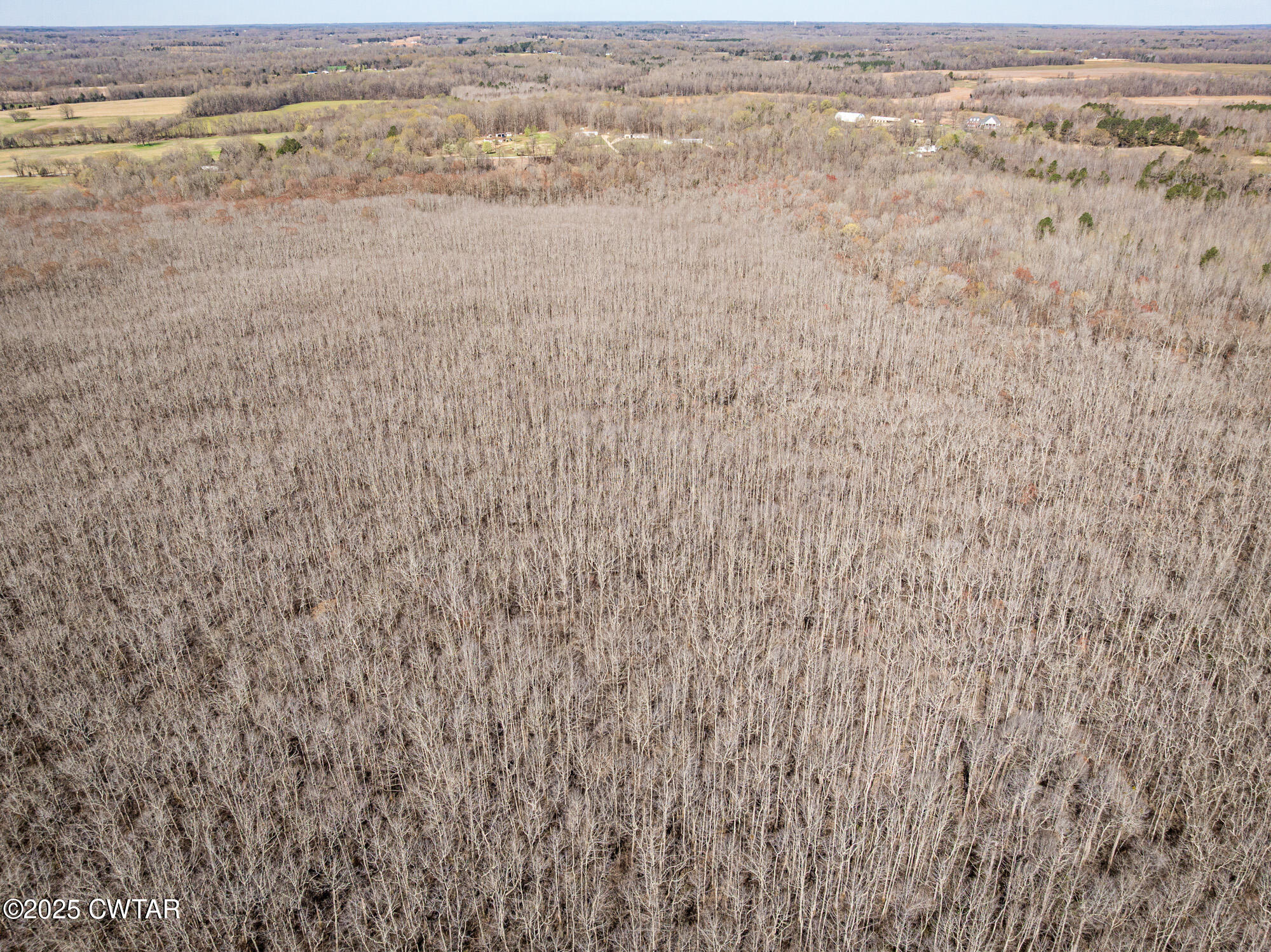 4489 Spring Creek Road Lavinia, TN 38348 - Photo 17 of 17 a view of city and ocean