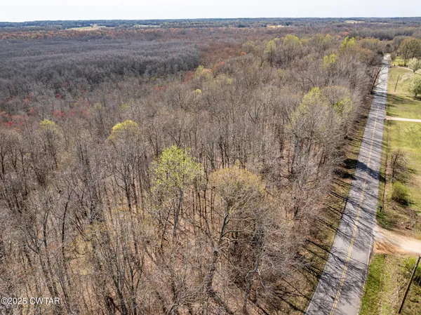a view of a dry yard