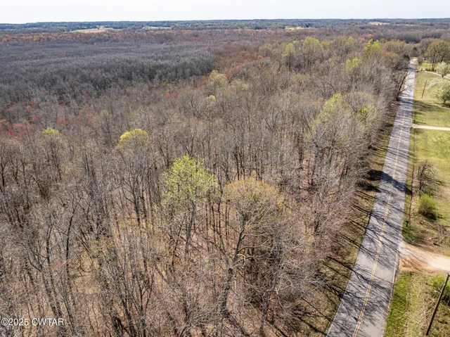 a view of a dry yard