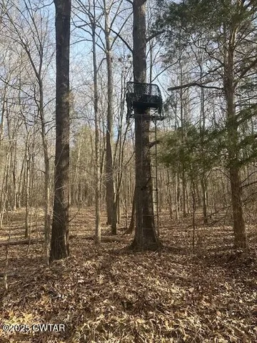 a view of outdoor space with lots of trees