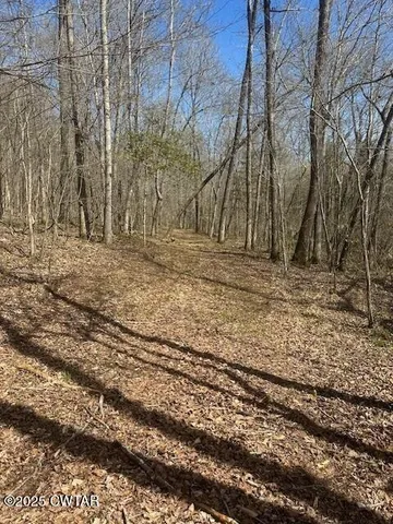 a view of a yard with trees