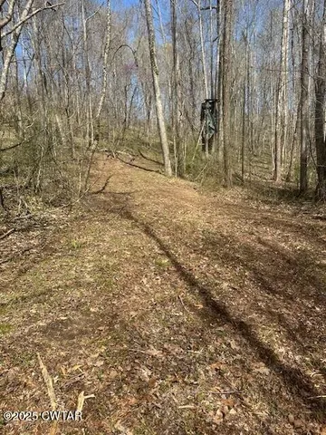 a view of backyard of house