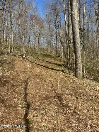 a view of empty room with trees