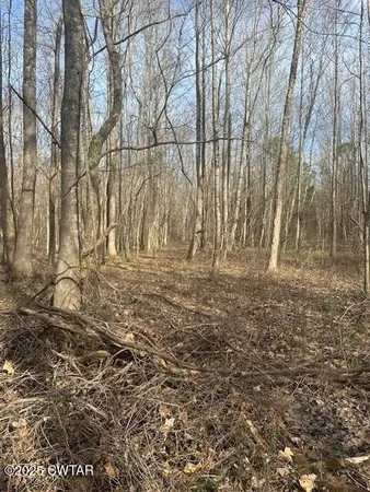 a view of an outdoor space and a yard