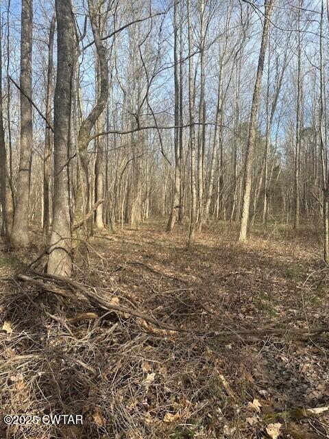 4489 Spring Creek Road Lavinia, TN 38348 - Photo 10 of 17 a view of outdoor space with wooden floor