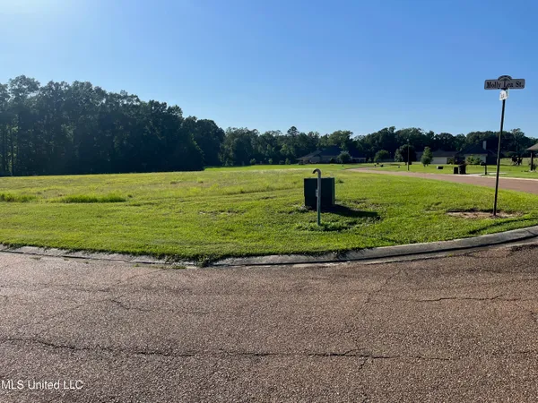 $48,000 | Lot 49 Tara Drive, Natchez, MS 39120