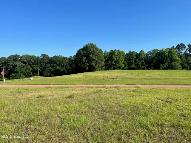 $48,000 | Lot 49 Tara Drive, Natchez, MS 39120