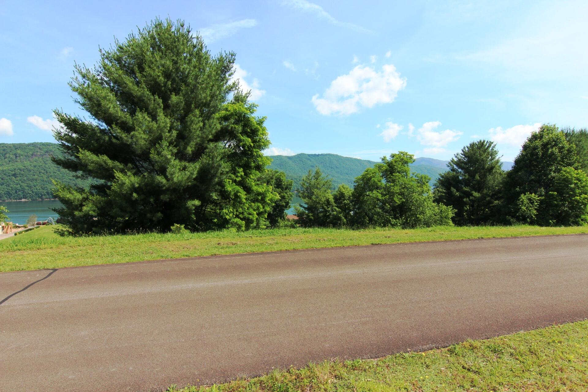 0 Harbor Point Road Butler, TN 37640 - Photo 10 of 11 PAVED ROADS