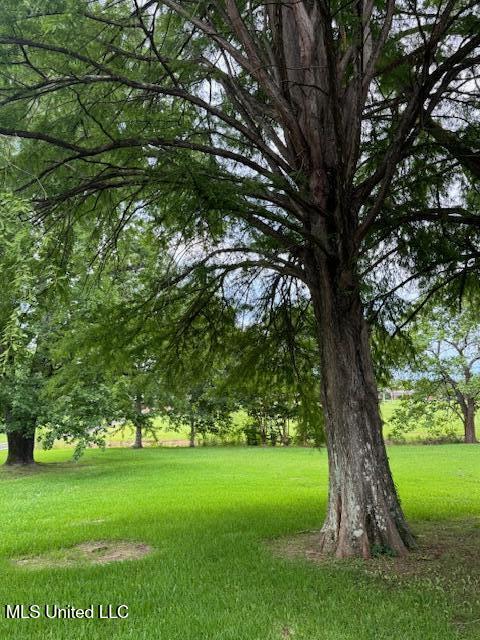 3864 South Siwell Road Jackson, MS 39212 - Photo 3 of 15 Back Yard