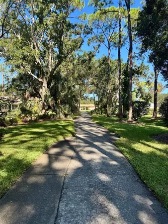 a view of a yard with plants and trees