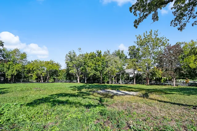 a view of a park with large trees