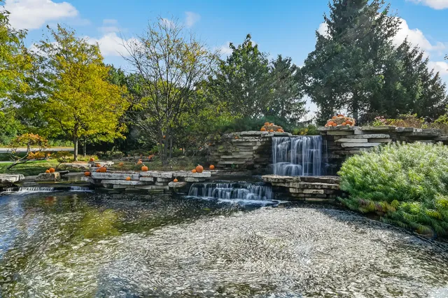 a view of outdoor space with garden and trees