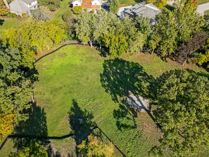 a view of a yard with a tree