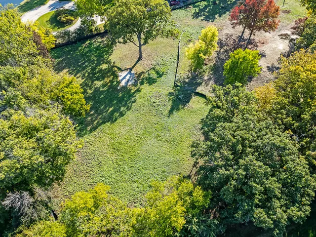 a view of a big yard with a large trees
