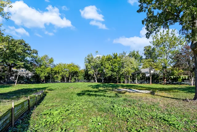 a view of a lush green space