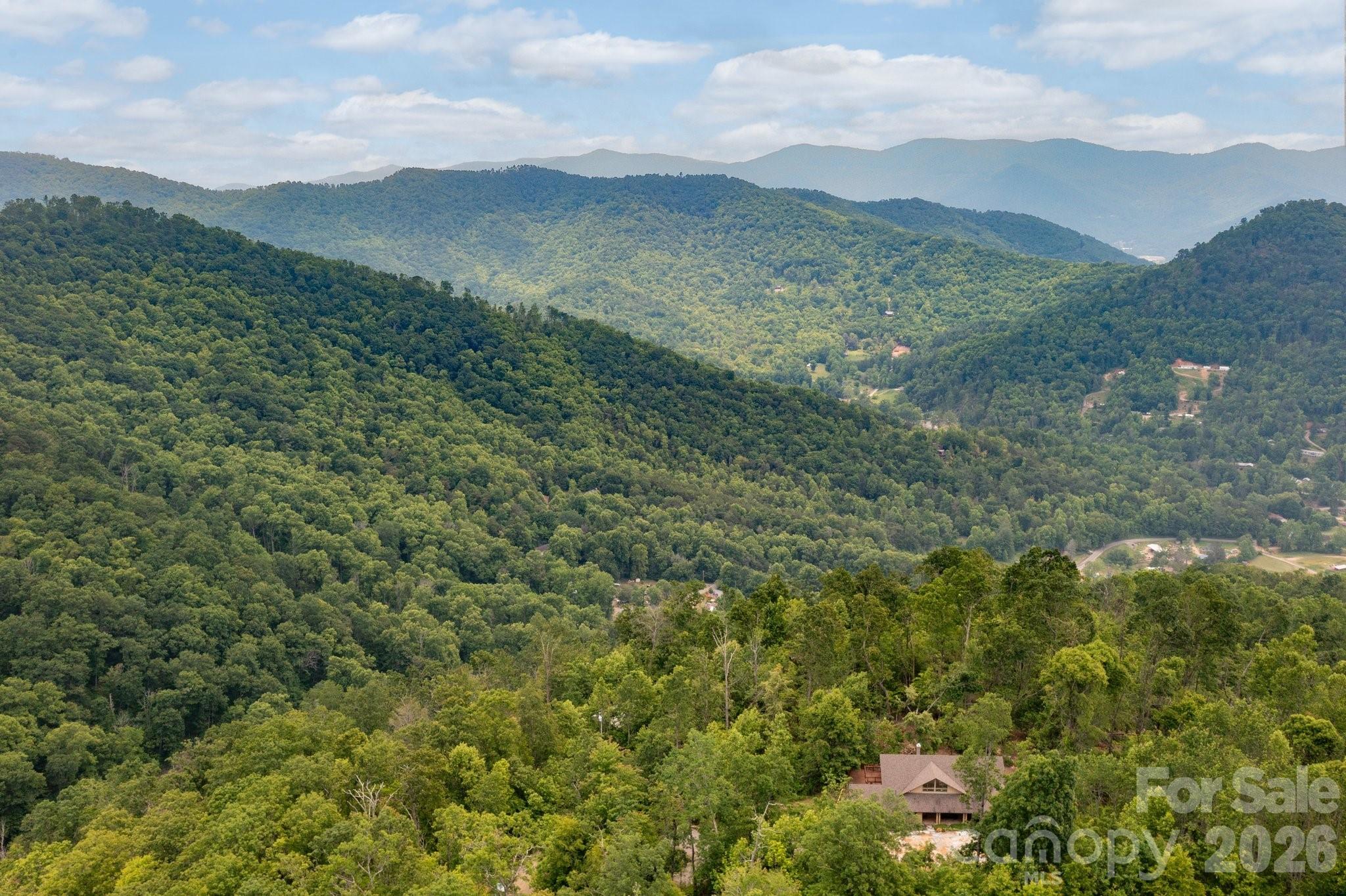 588 Long Branch Road Swannanoa, NC 28778 - Photo 40 of 46 a view of a lush green forest with mountains in the background