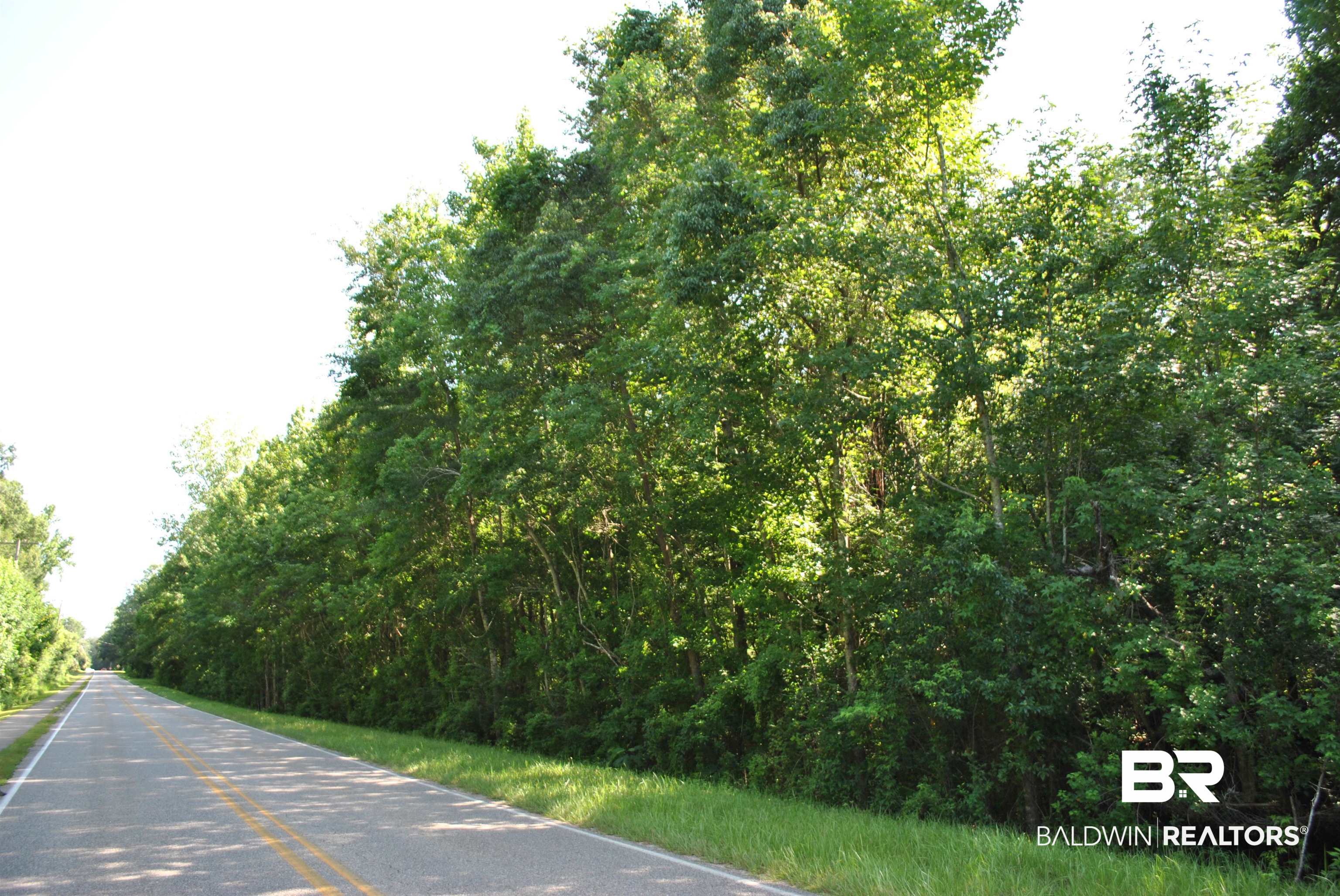 0 Boothe Road Fairhope, AL 36532 - Photo 7 of 7 View of asphalt street
