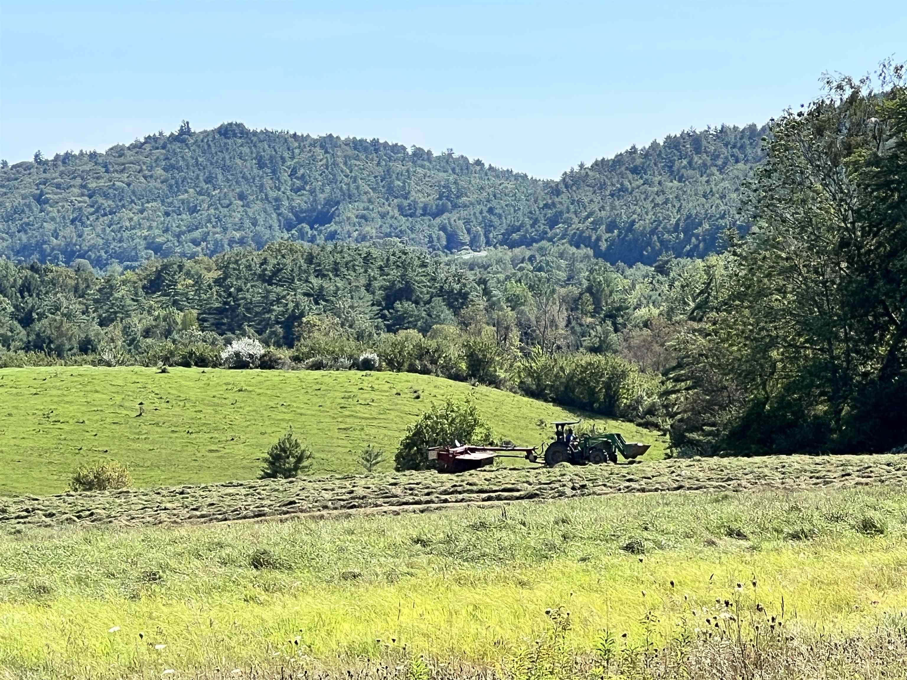 20 Rice Road Hartland, VT 05089 - Photo 32 of 40