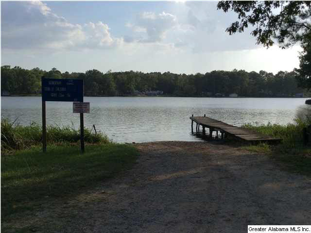 62 Morgan Road Ashville, AL 35953 - Photo 14 of 16