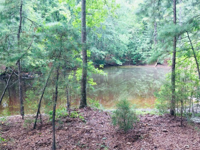 3793 Ridge Road Norwood, GA 30821 - Photo 8 of 29