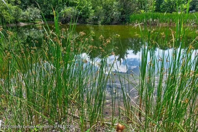 3719 South Williams Road Stockbridge, MI 49285 - Photo 38 of 47 Pond