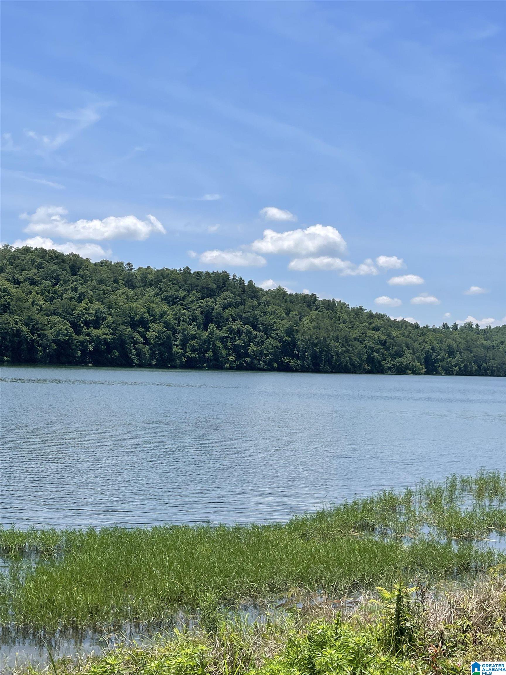 1501 Mountain Lake Road Warrior, AL 35180 - Photo 51 of 51