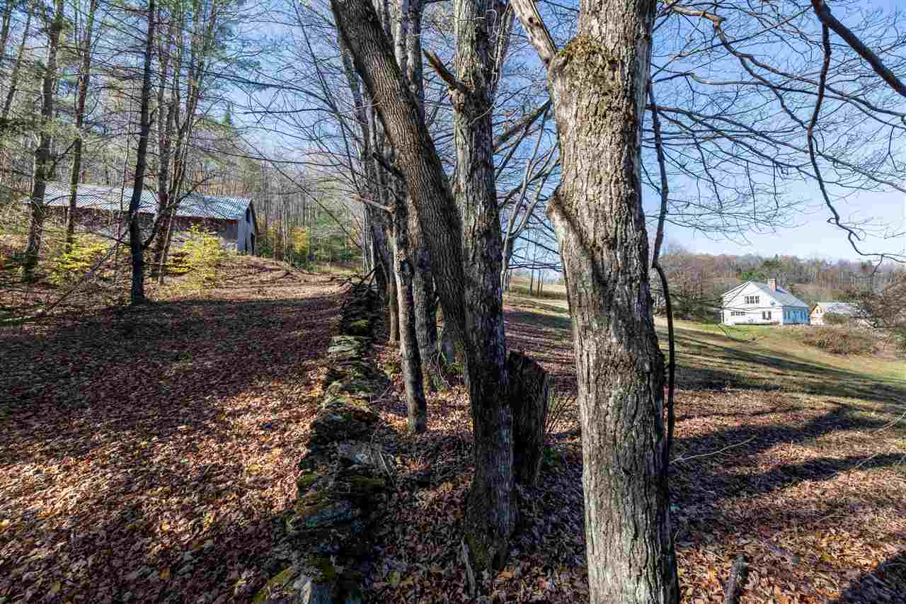 103 Van Dyke Road Strafford, VT 05072 - Photo 26 of 34
