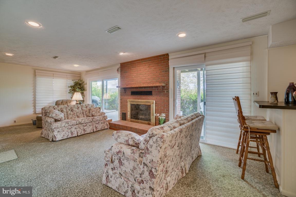 116 Pleasant Grove Road Locust Grove, VA 22508 - Photo 21 of 34 Lower level family room- Heatilator fireplace