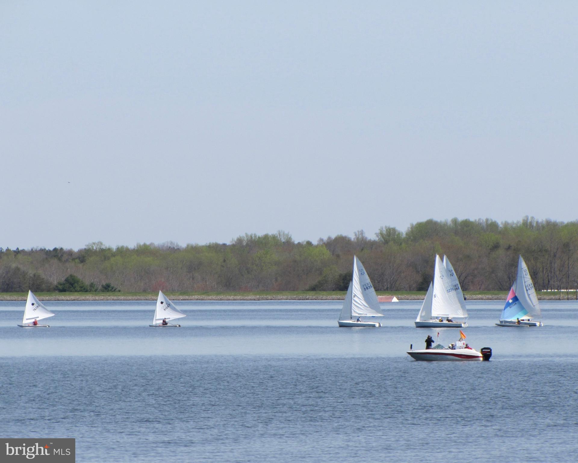 116 Pleasant Grove Road Locust Grove, VA 22508 - Photo 30 of 34 Lake of the Woods Sailing Club