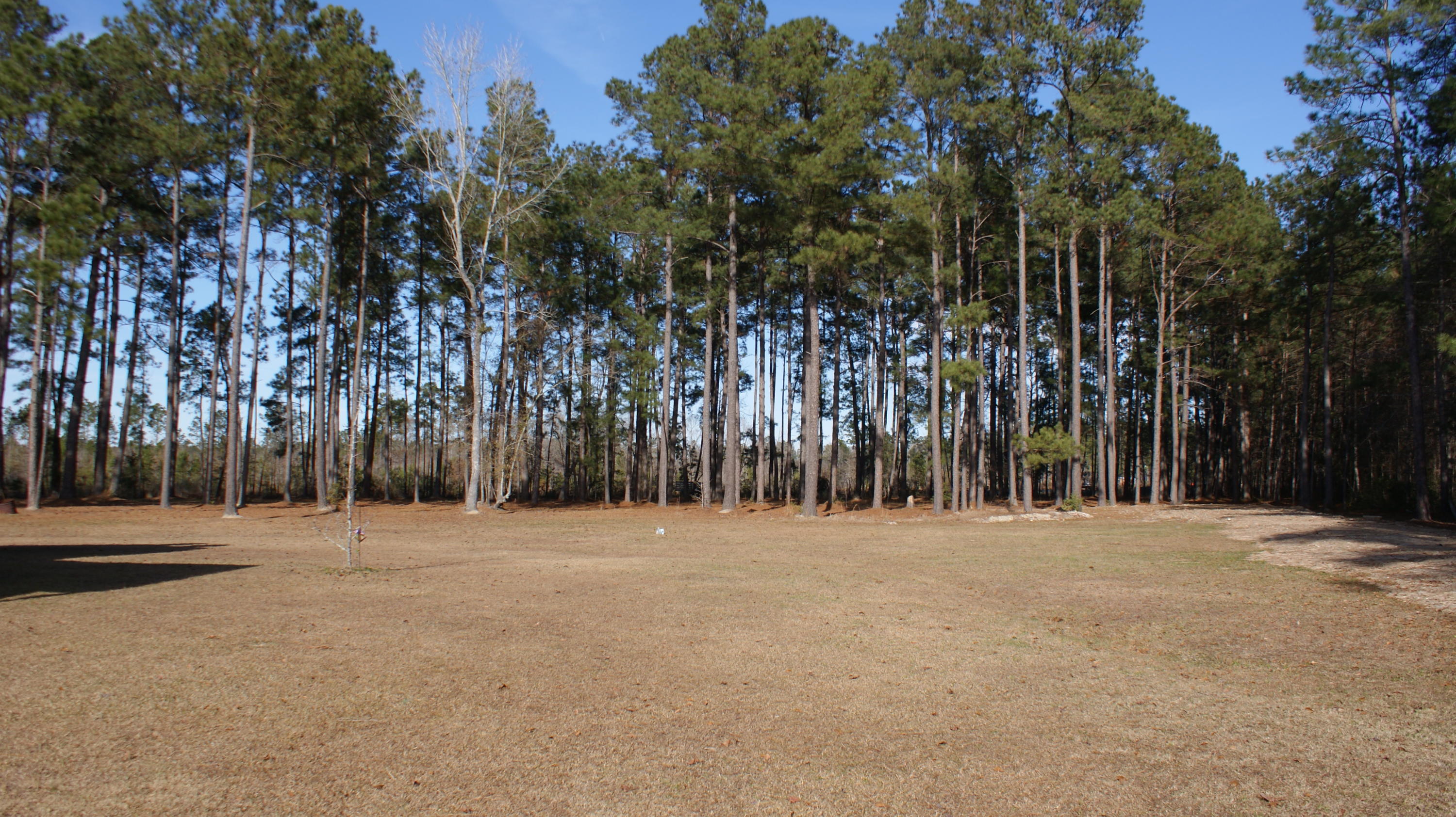 387 Cheyenne Road Summerville, SC 29483 - Photo 1 of 9 DSC04440