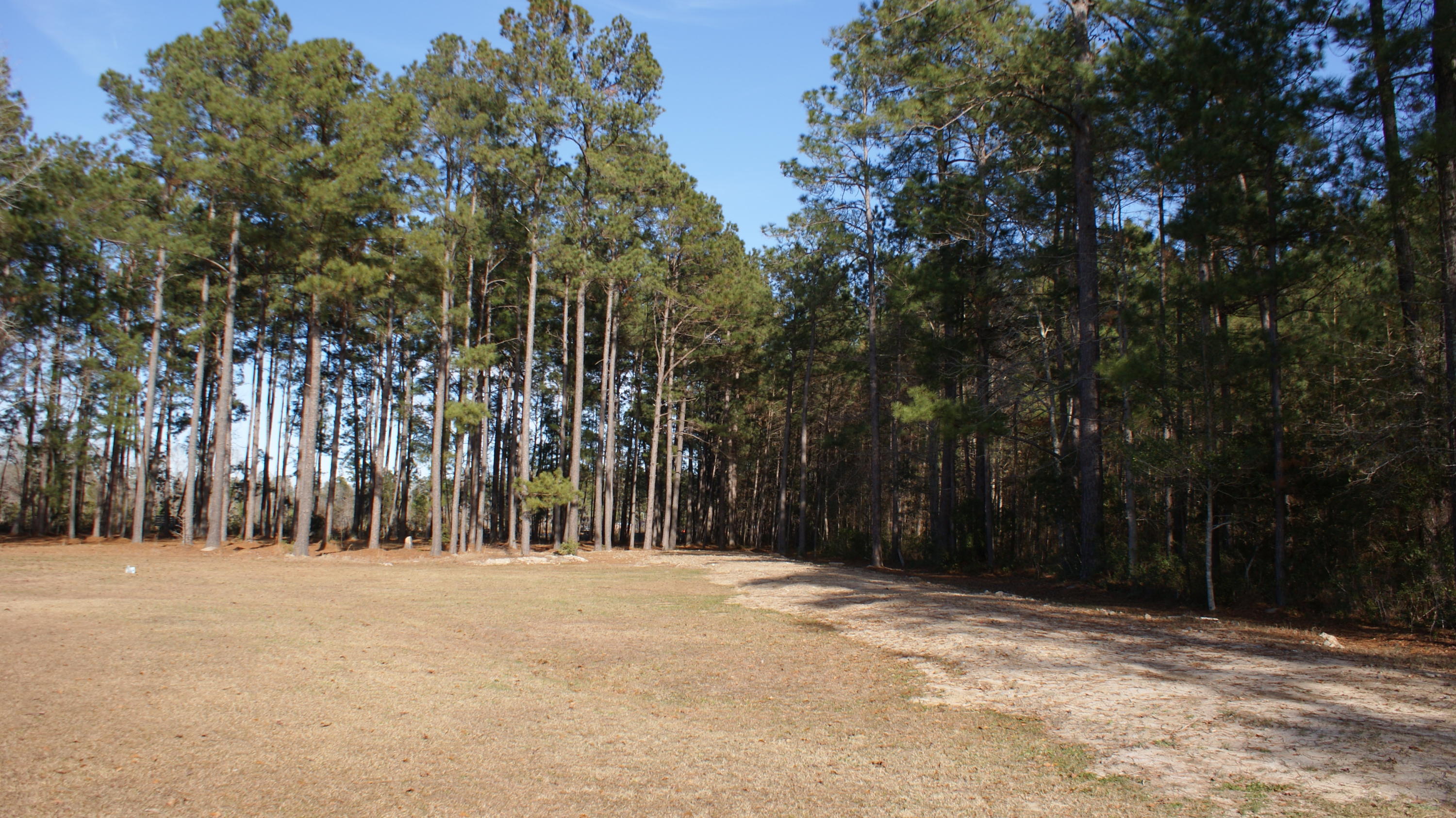 387 Cheyenne Road Summerville, SC 29483 - Photo 2 of 9 DSC04441