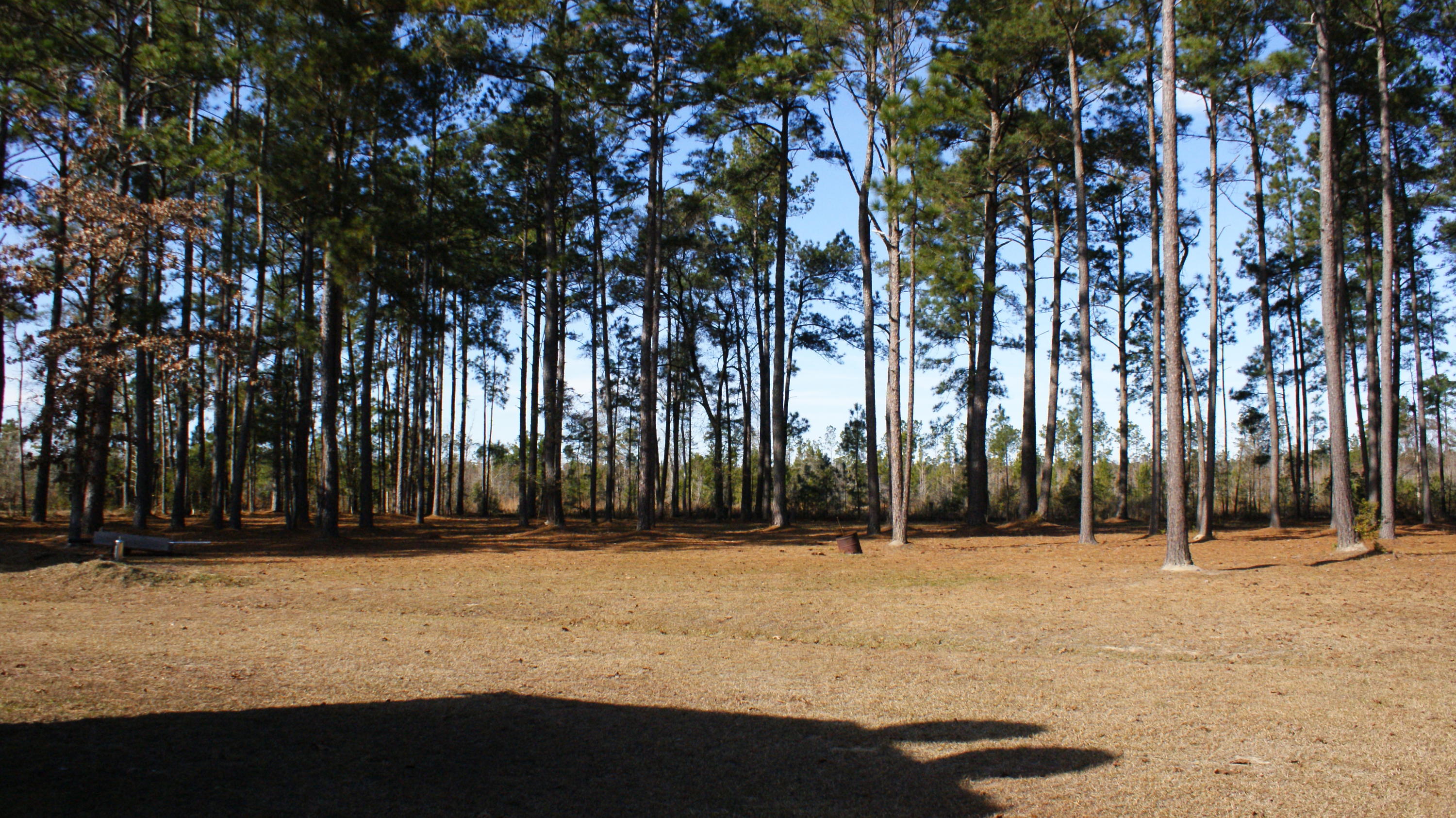 387 Cheyenne Road Summerville, SC 29483 - Photo 3 of 9 DSC04444