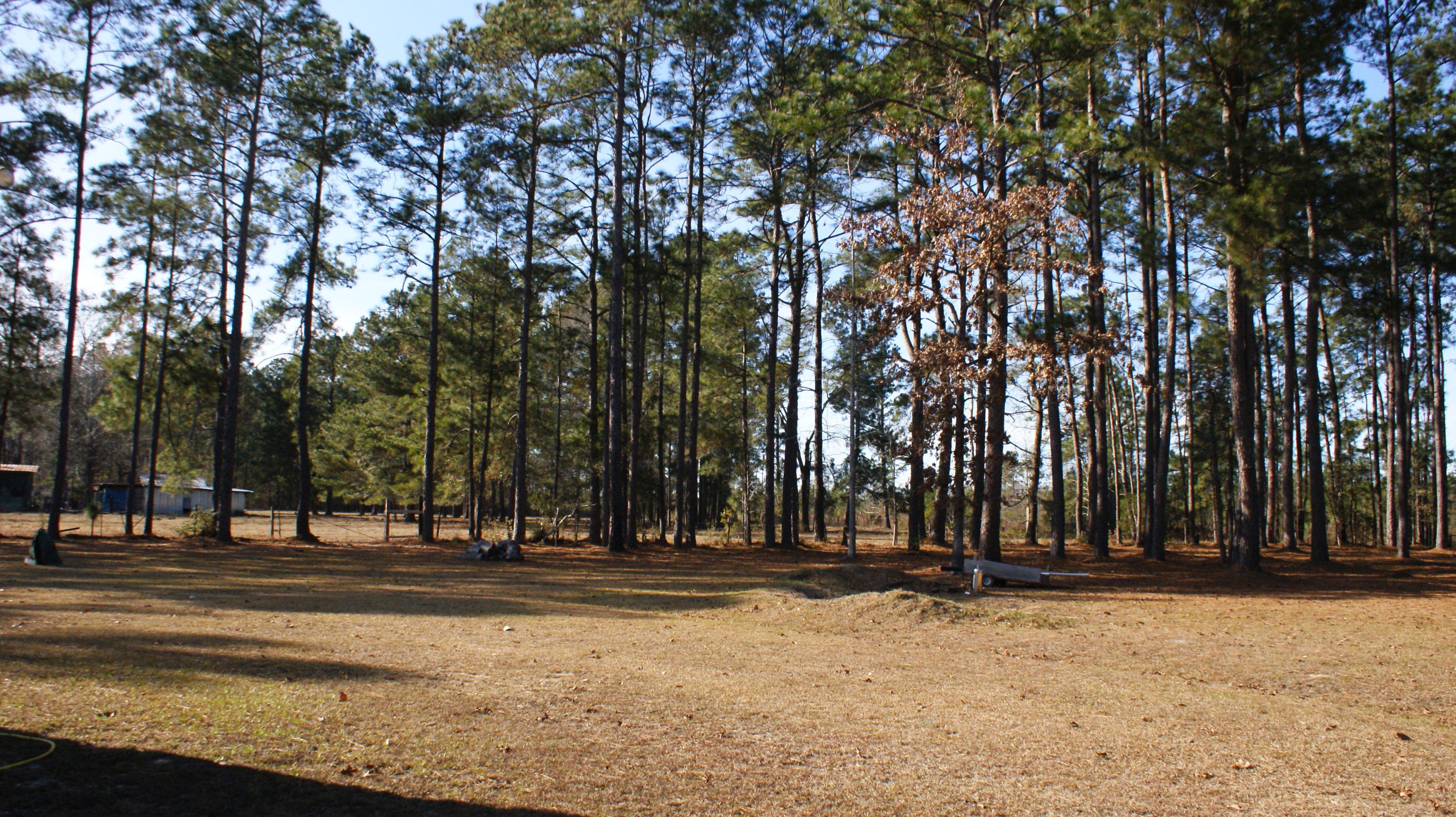 387 Cheyenne Road Summerville, SC 29483 - Photo 4 of 9 DSC04445
