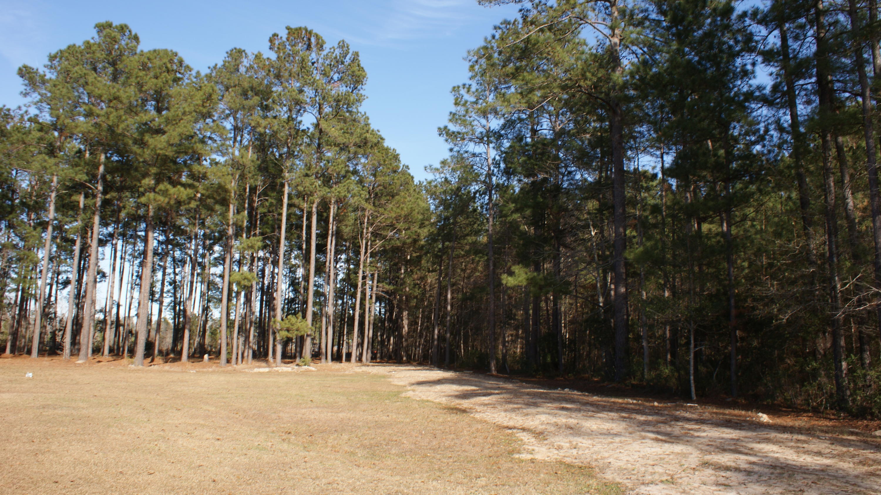 387 Cheyenne Road Summerville, SC 29483 - Photo 9 of 9 DSC04442